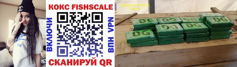 Купить  Бирюсинск  Кокаин FishScale 