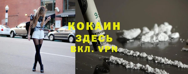 прущие крисы Елизово