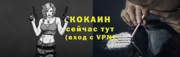 прущая мука Ельня