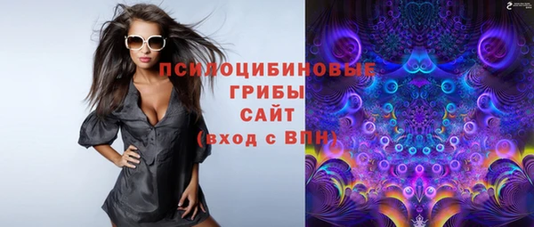 прущая мука Ельня