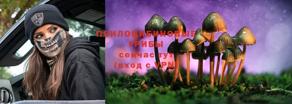 прущая мука Ельня